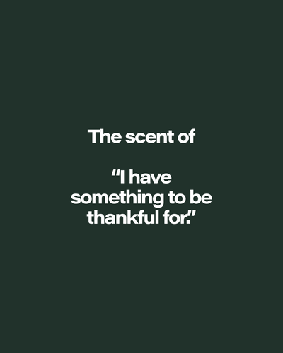 Gratitude Body Cleanser