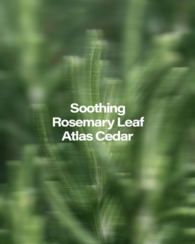 Gratitude Body Cleanser