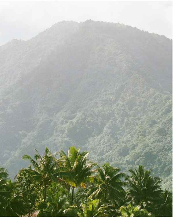 Card 3 Image